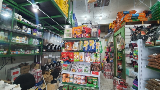 Pet Shop Cãobelereiro - Santo André, SP - Guia Total de Negócios